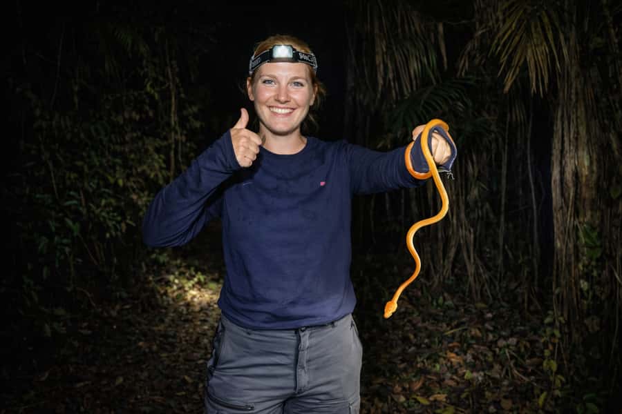 From Iquitos: 3-Day Amazon Jungle Adventure Trip - Is $467 good value for three days?