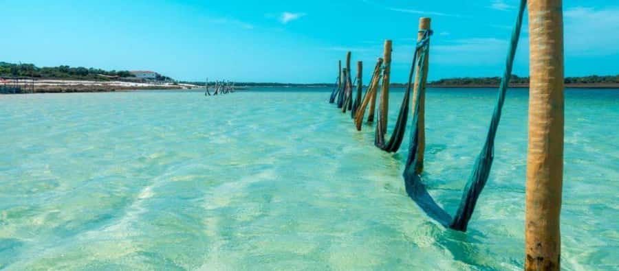 From Jericoacoara: Preá Beach and Paradise Lagoon Tour - Transportation, language, and the role of the driver