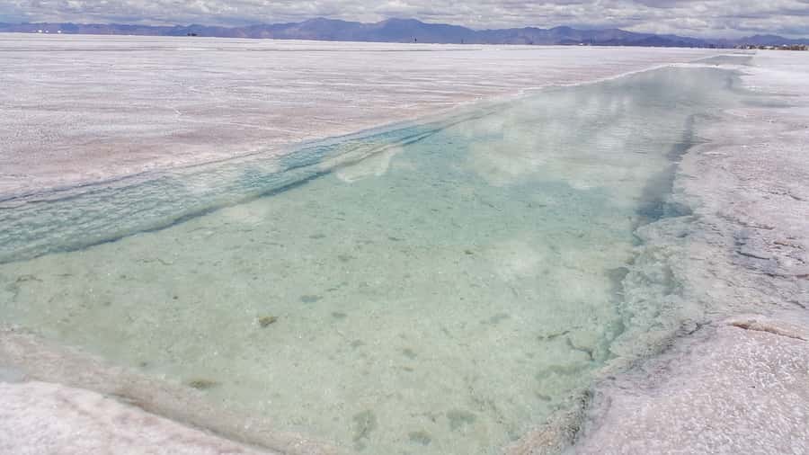 From Jujuy: Salinas Grandes, Purmamarca & Los Colorados Hike - Vicuñas, llamas, and the high Andean setting