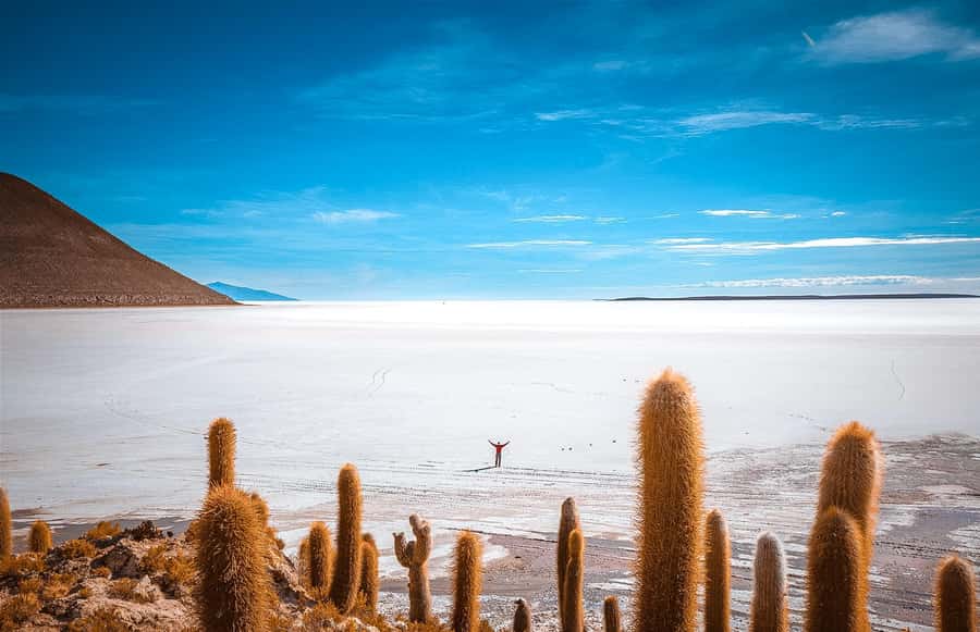 From La Paz: 4-Day Trip to San Pedro de Atacama w/Salt Flats - The overnight bus from La Paz at 9 p.m.