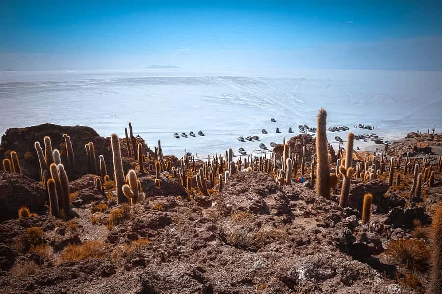 From La Paz: 4-Day Trip to San Pedro de Atacama w/Salt Flats - Food, rooms, and the real comfort level