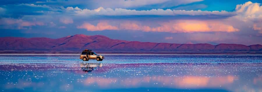 From La Paz: Uyuni Salt Flats 2-Day Tour with Bus Transfers - Incahuasi Island adds cactus and stone