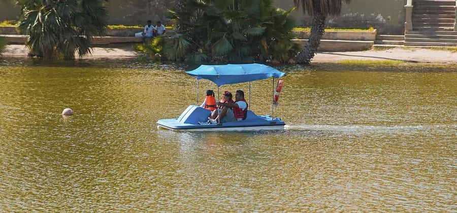 From Lima: Ballestas Islands and Huacachina Sunset Day Trip - Is $65 good value?
