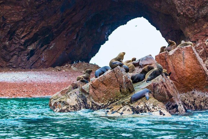 From Lima: Ballestas, Nazca Lines & Huacachina Oasis - Key points to know before booking