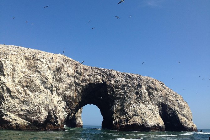 From Lima: Ballestas, Nazca Lines & Huacachina Oasis - Transport, guides, and the human side of the trip