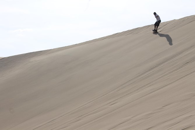From Lima: Ballestas, Nazca Lines & Huacachina Oasis - Who should book this experience