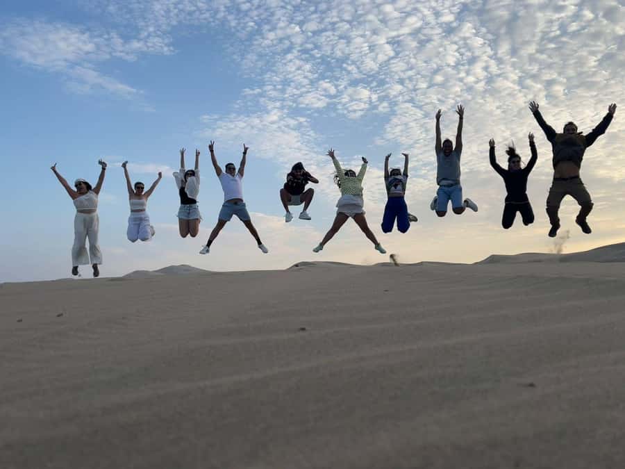 From Lima: Day trip to Paracas, Ica and Oasis Huacachina - A huge Peru day from Lima