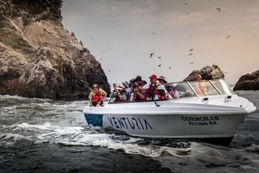 From Lima: Day trip to Paracas, Ica and Oasis Huacachina - Dune buggies and one sandy descent
