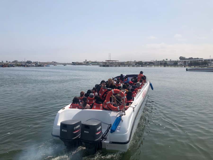 From Lima: Day Trip to Paracas, Ica & Oasis Huacachina - Key points at a glance