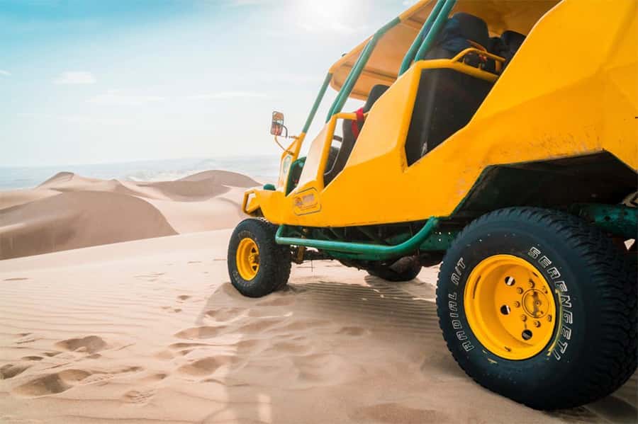 From Lima: Paracas and Huacachina Oasis Full Day Guided Tour - Ballestas Islands: wildlife on the Pacific coast