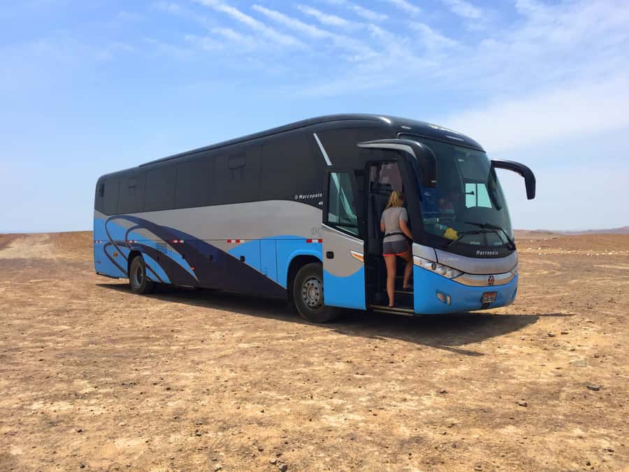 From Lima: Paracas and Huacachina Oasis Full Day Guided Tour - What the $59 price really covers