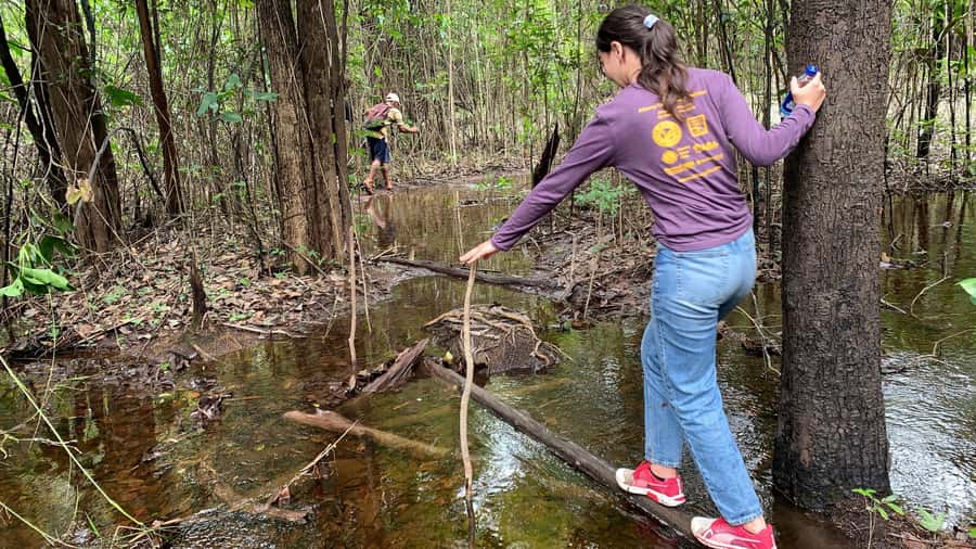 From Manaus: One-Day Amazon Jungle Experience - Key points to know before booking