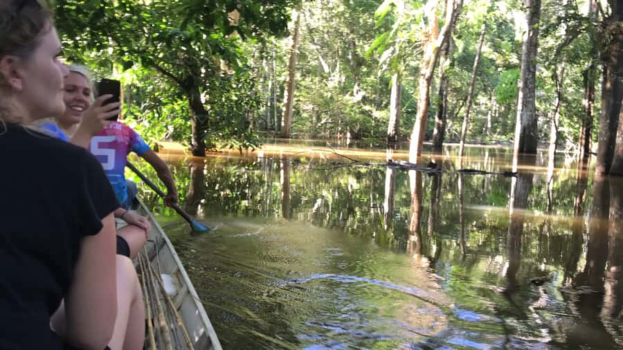 From Manaus: One-Day Amazon Jungle Experience - From Manaus to Castanho Lake