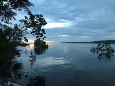 One-Day Amazon Jungle Experience