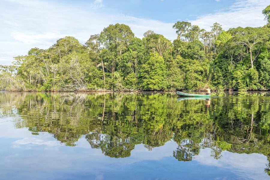 From Manaus: One-Day Amazon Jungle Experience - Searching for caimans after dark
