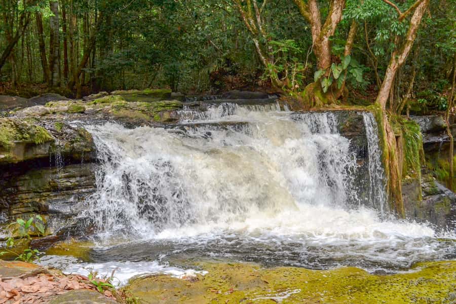From Manaus: Presidente Figueiredo Waterfalls Daytrip - Inside Gruta do Refugio