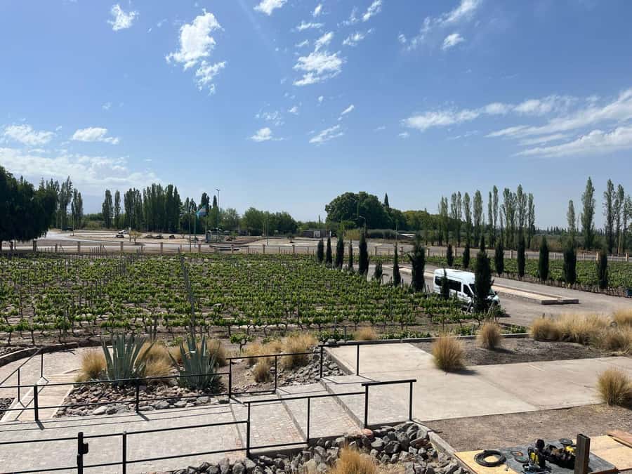 From Mendoza: 3 Wineries, Olive Oil Factory Tour & Tasting - First winery: an artisanal view of Mendoza wine