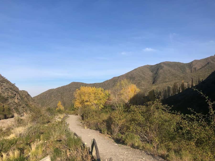 From Mendoza: Andes High Mountain Full-Day Tour - Potrerillos Dam and the first proper photo stop