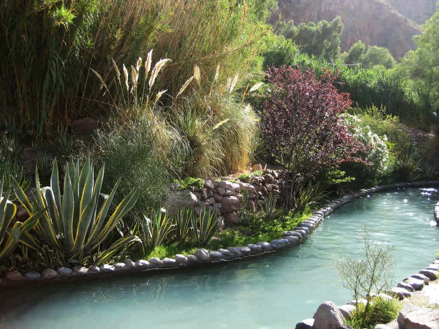 From Mendoza: Premium Spa Day at the Cacheuta Hot Springs - Buffet lunch with Criollo-style choices