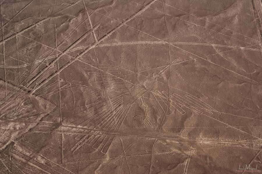 From Nazca: 35-Minute Flight Over Nazca Lines - Check-in, weighing, and the two airport fees