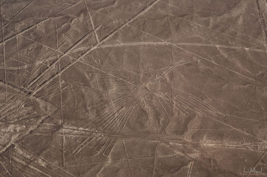 From Nazca: 35-Minute Flight Over Nazca Lines - What you will see from the air