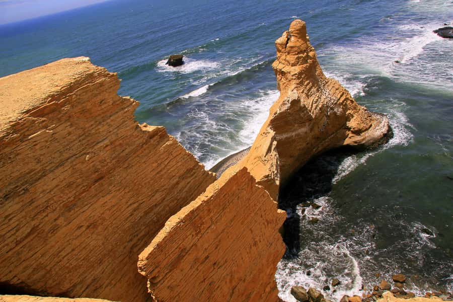 From Paracas: Ballestas Islands & Paracas National Reserve - Why this five-hour combination works