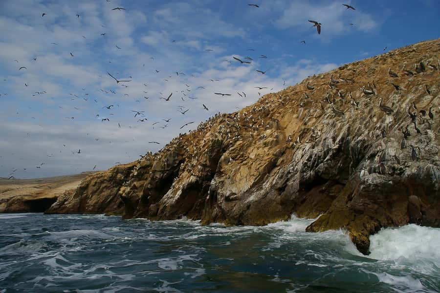 From Paracas: Ballestas Islands & Paracas National Reserve - Getting from your Paracas hotel to the pier