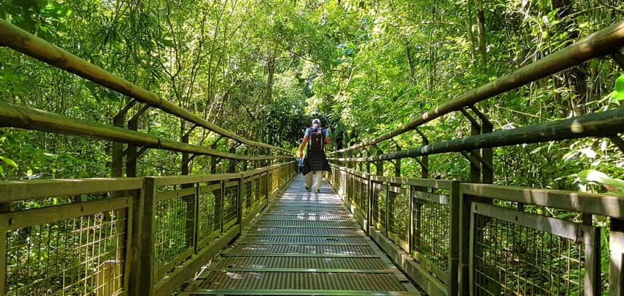 From Puerto Iguazu: Argentinian Iguazu Falls with Boat Ride - Who should choose this Iguazu day tour