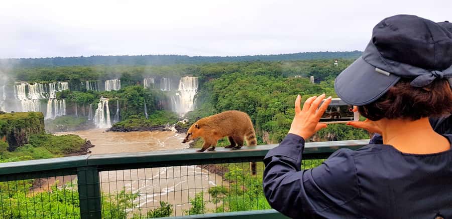 From Puerto Iguazu: Brazilian Falls with Boat Adventure - Crossing from Puerto Iguazu into Brazil