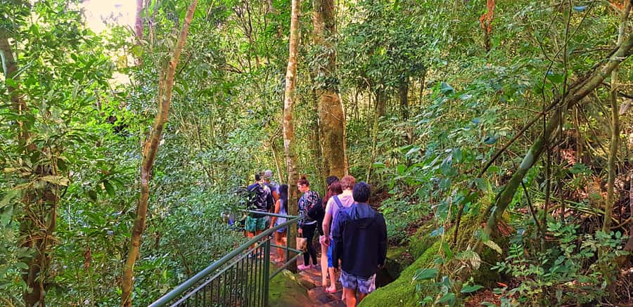 From Puerto Iguazu: Brazilian Falls with Boat Adventure - What to bring and what to skip