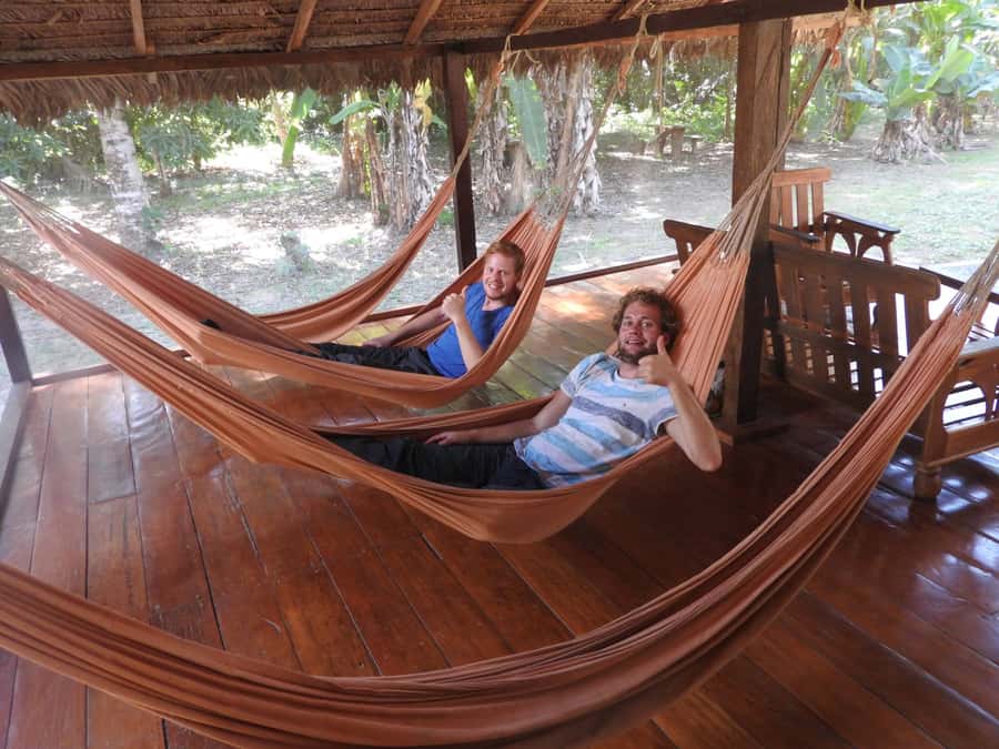 From Puerto Maldonado: Tambopata National Reserve 3-Day Tour - Should you book it?