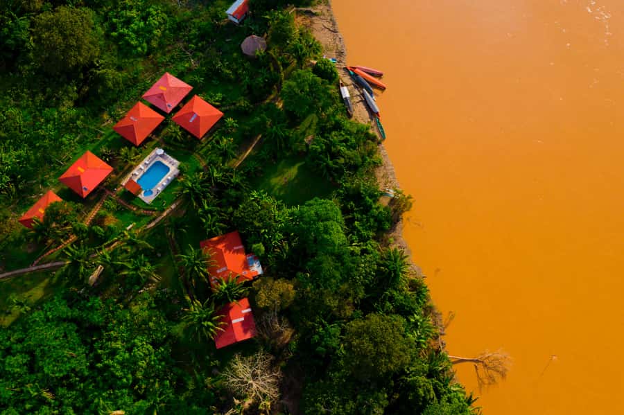 From Puerto Maldonado: Tambopata National Reserve 3-Day Tour - Night forest walk and life after dark