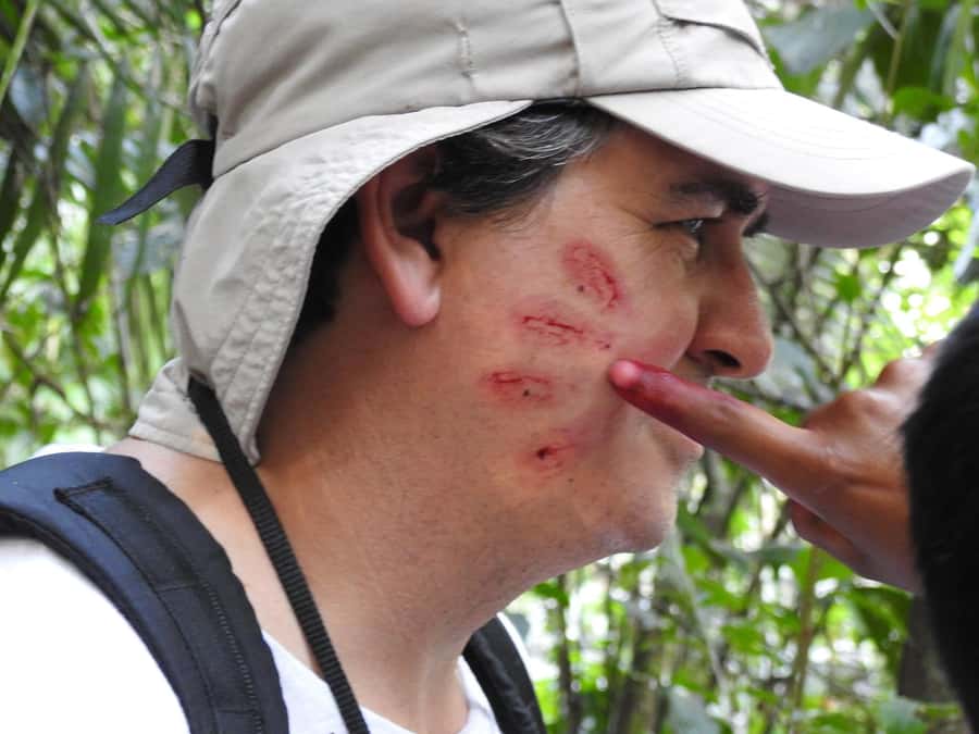 From Puerto Maldonado: Tambopata National Reserve 3-Day Tour - Canopy viewpoints and the ride back on Day 3