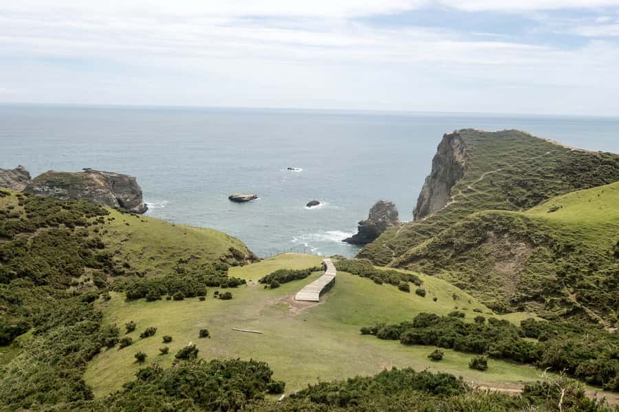 From Puerto Varas: Chiloe Island Full-day Tour - Ancud combines museums, a market, and a fort