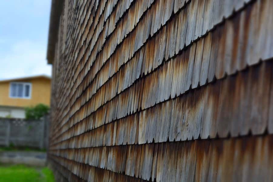 From Puerto Varas: Chiloe Island Full-day Tour - The lunch stop and why the schedule can feel long
