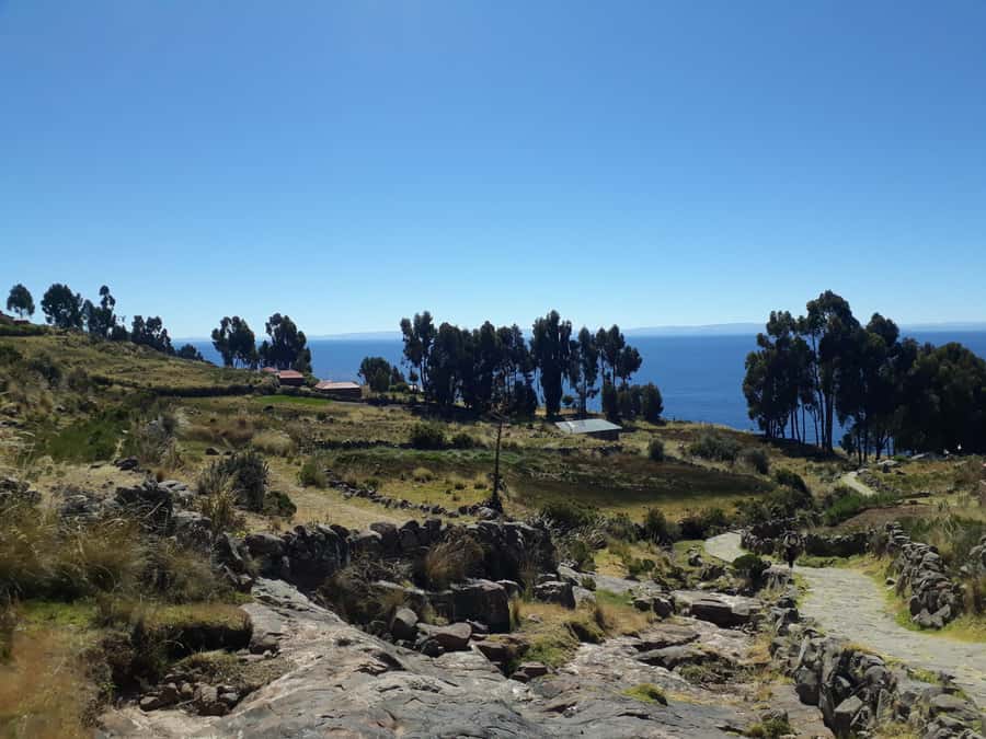 From Puno: full day tour to Uros and Taquile with Lunch - Practical packing advice for Lake Titicaca