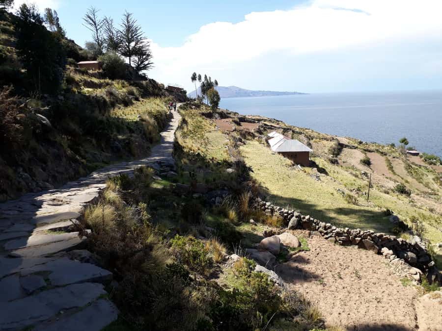 From Puno: full day tour to Uros and Taquile with Lunch - Starting in Puno and reaching the lake