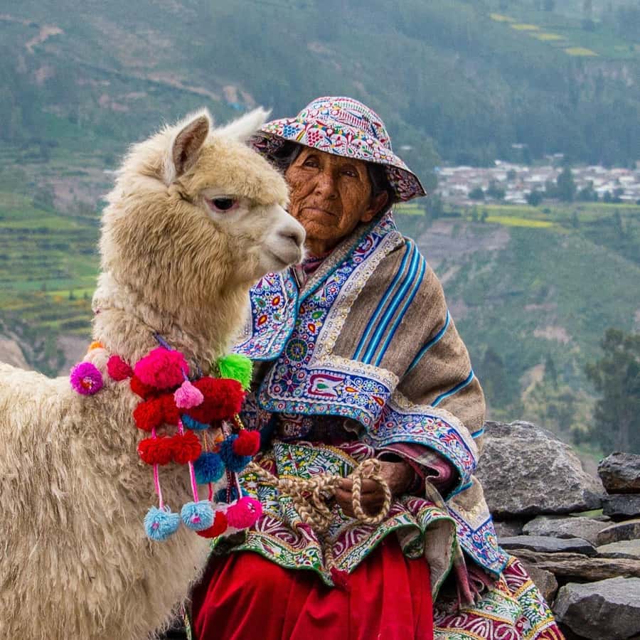 From Puno to Arequipa: 2 Days/1 Night Colca Canyon Tour - Patapampa at 4,830 meters