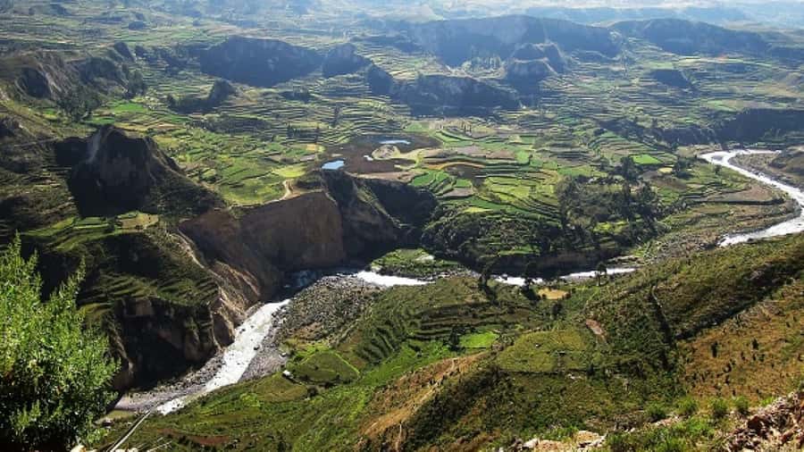 From Puno to Arequipa: 2 Days/1 Night Colca Canyon Tour - Lagunillas and the first high-altitude stops