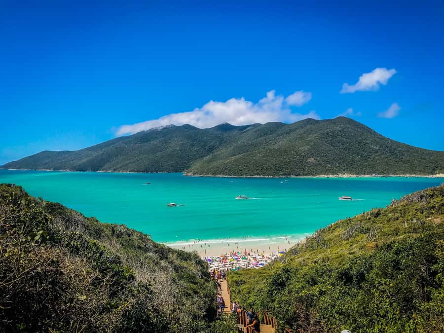 From Rio: Arraial do Cabo Day Trip with Boat Tour - Key points to know before booking