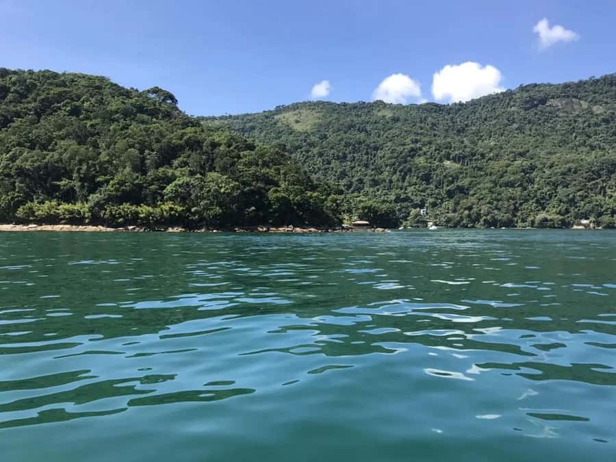 From Rio de Janeiro: Angra dos Reis & Ilha Grande Day Tour - What to bring and who should skip it