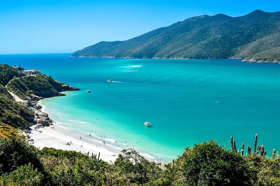 From Rio de Janeiro: Arraial do Cabo Island Day Trip - Who should book this Arraial do Cabo day trip