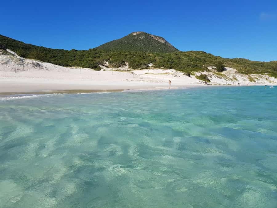 From Rio de Janeiro: Arraial do Cabo Island Day Trip - The bus ride from Rio’s South Zone