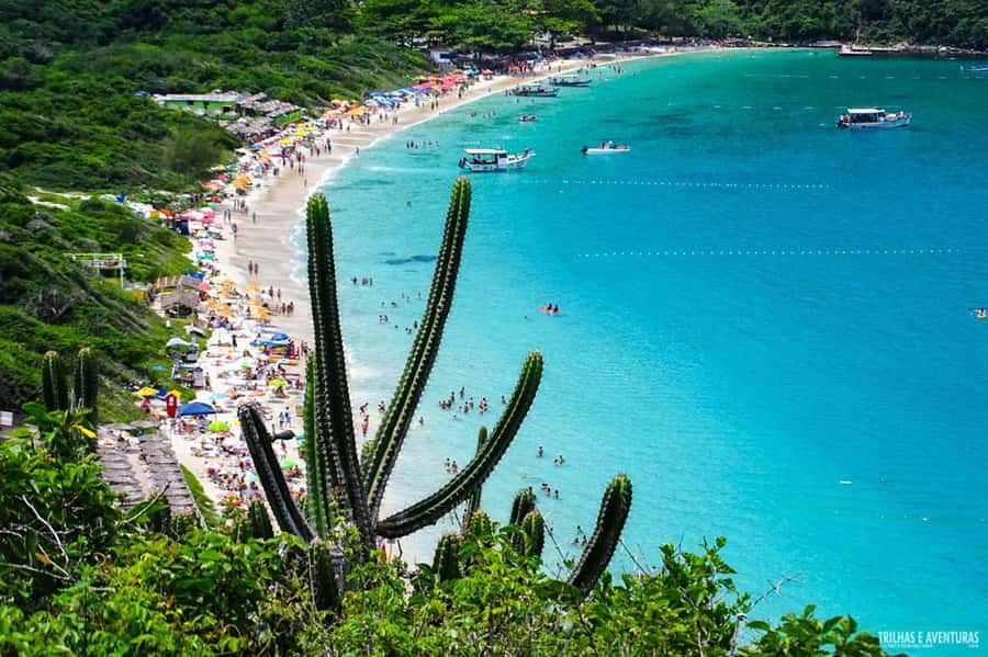 From Rio de Janeiro: Arraial do Cabo Island Day Trip - The Blue Grotto and Fenda de Nossa Senhora