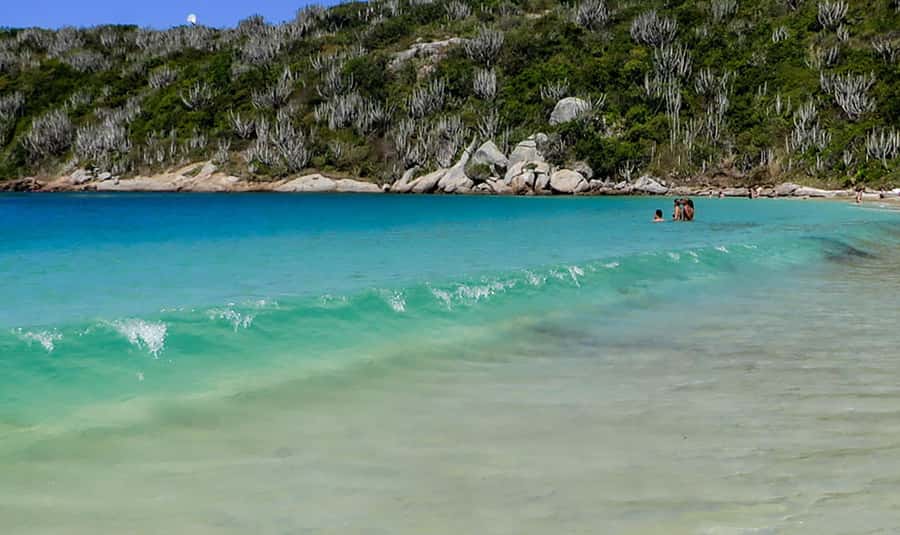 From Rio de Janeiro: Arraial do Cabo Island Day Trip - Swimming, reefs, and marine life