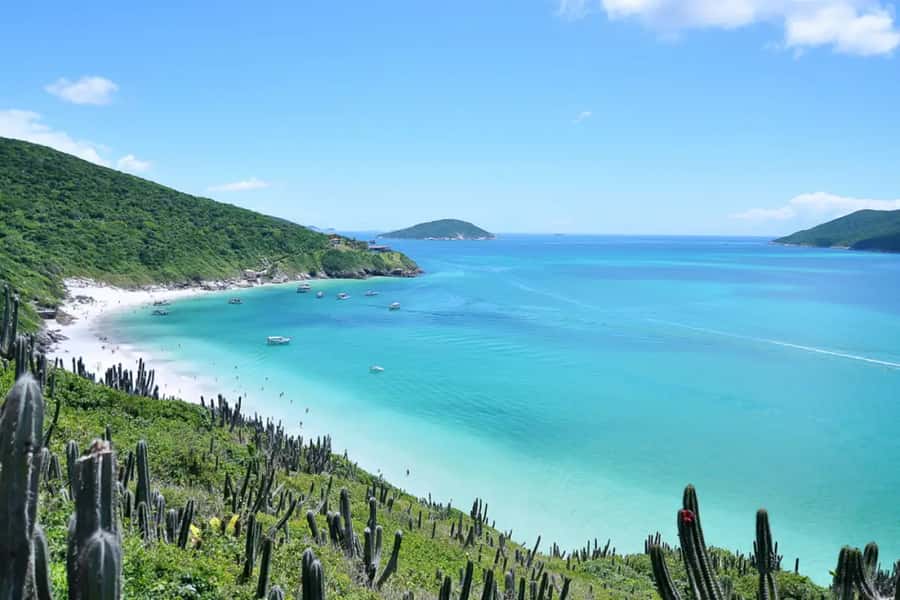 From Rio de Janeiro: Arraial do Cabo Island Day Trip - Praia do Forno and the first taste of clear water