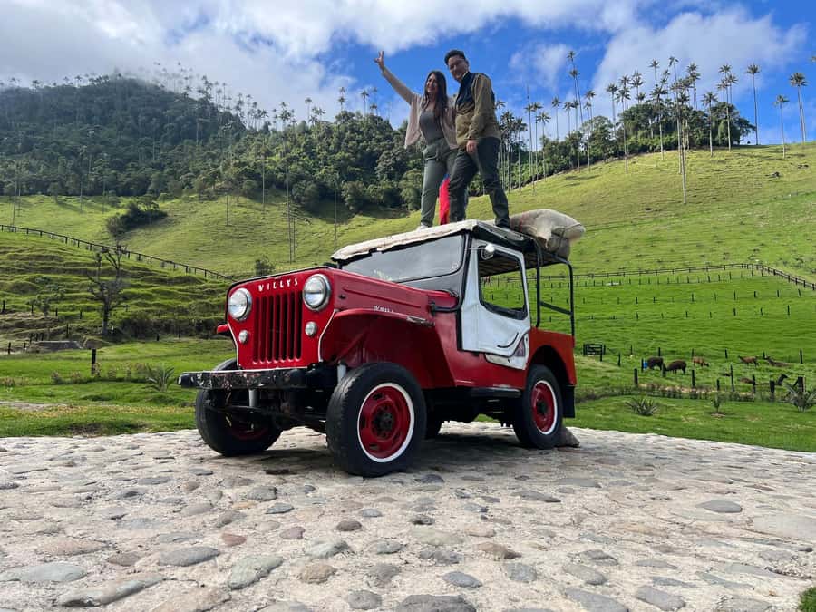 From Salento: Cocora Valley Shared Tour - Why Cocora Valley deserves a place in your Salento plans