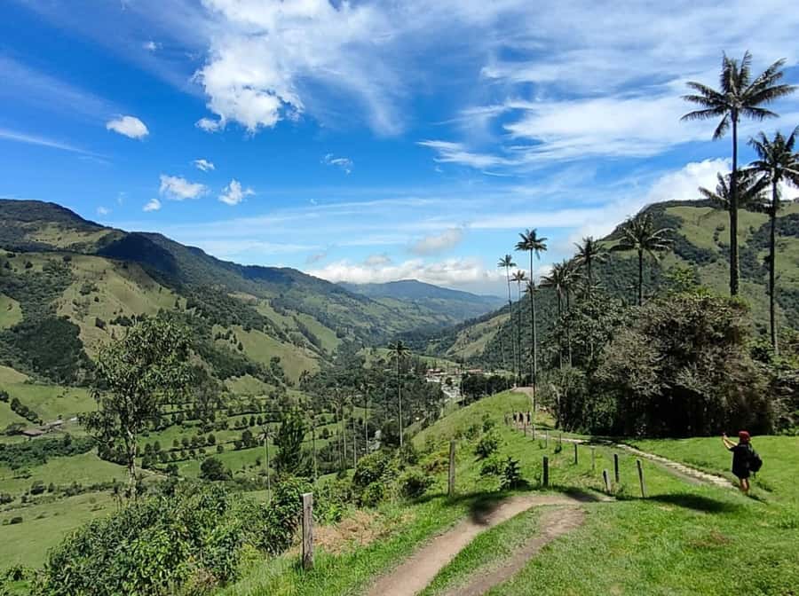 From Salento: Cocora Valley Shared Tour - Walking among the world’s tallest palms