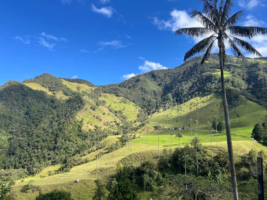 From Salento: Cocora Valley Shared Tour - How the $69 price works in practice