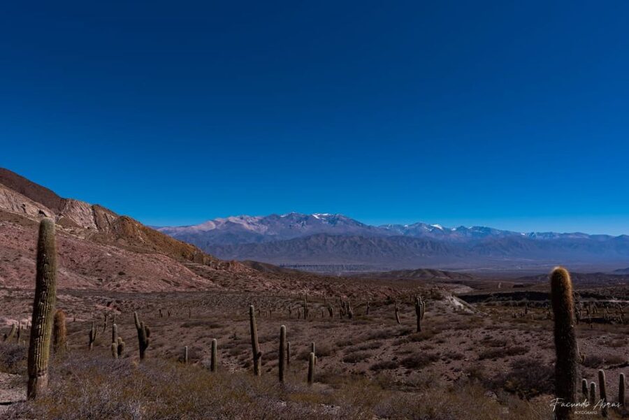 From Salta: 4-Day Trip in Salta Province & Salinas Grandes - Salinas Grandes, the white heart of the journey